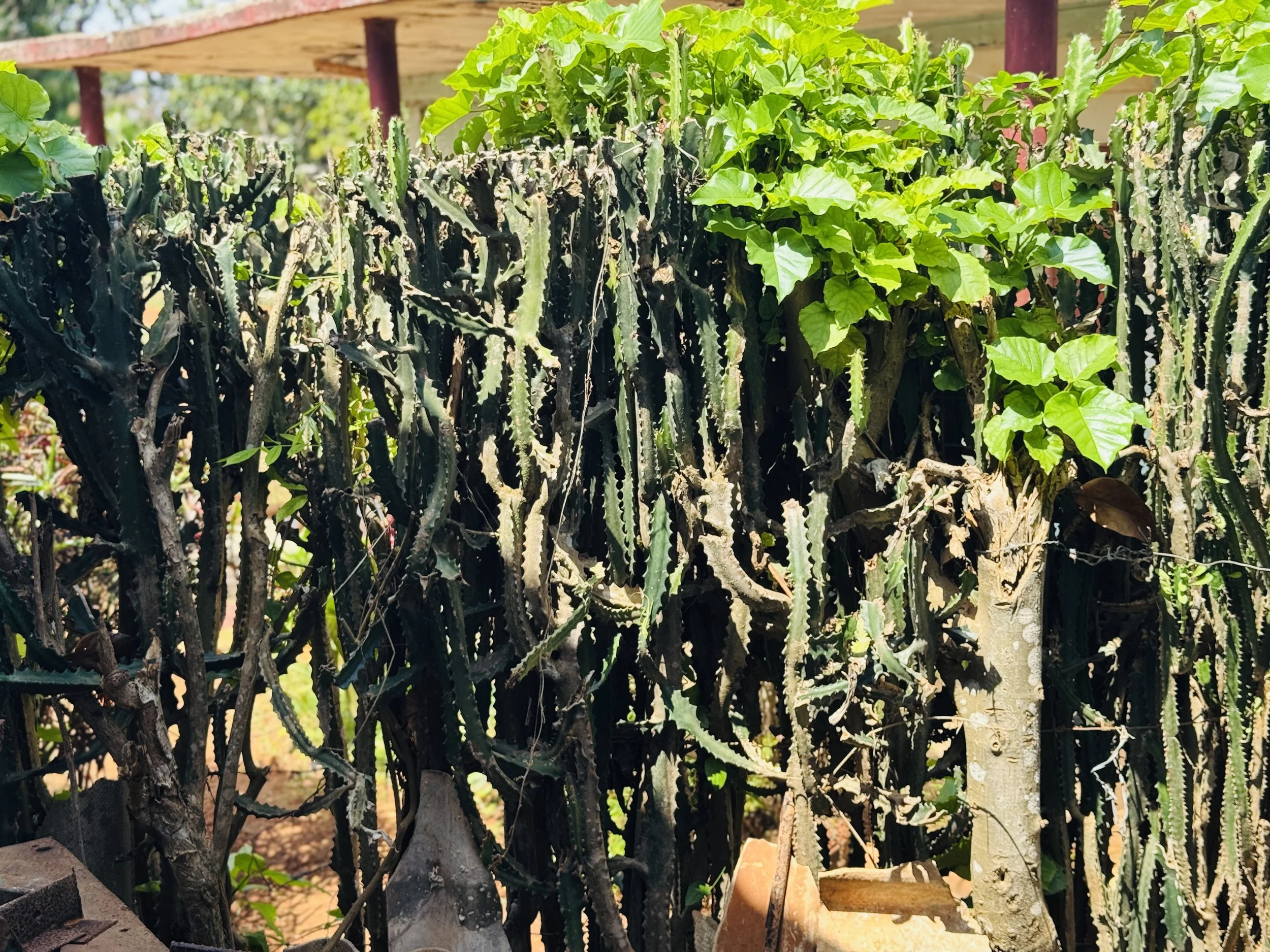 20260316-21 쿠바단기선교 34.jpeg