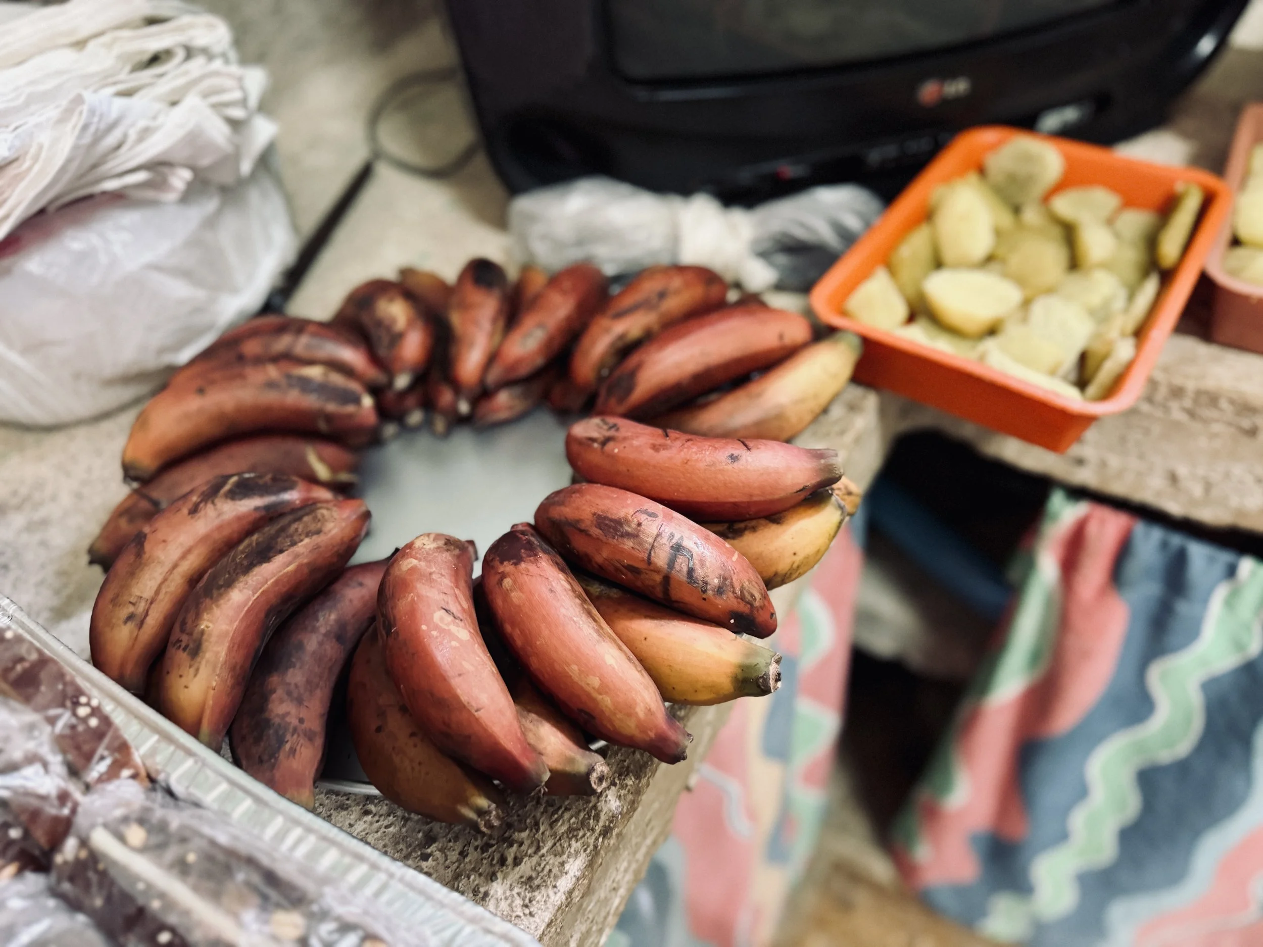 20260316-21 쿠바단기선교 37.jpeg