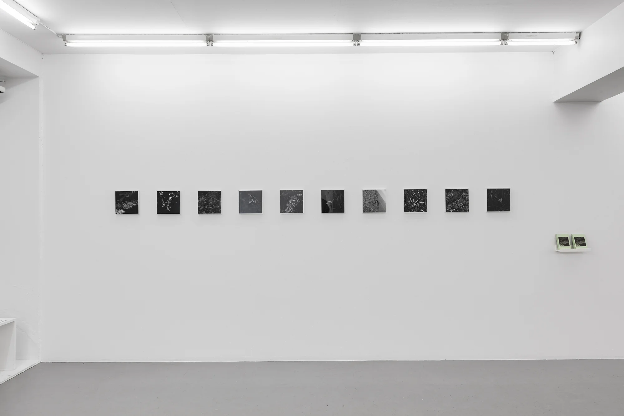 Installation of The Death of a Beautiful Subject, 2015 by Sophy Rickett, part of the exhibition Album 31 and other works at Fotogalleriet, Oslo , 20.03.2015 - 10.05.2015