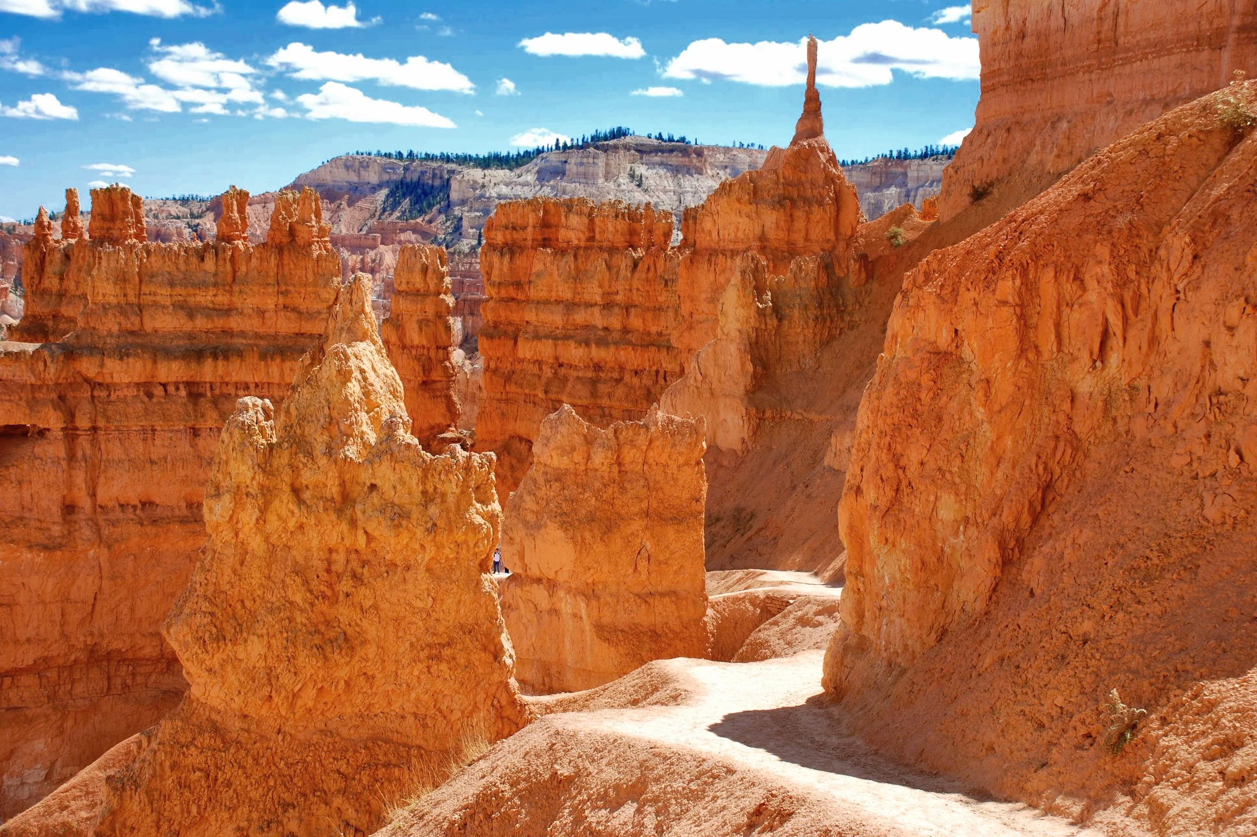 BRYCE CANYON