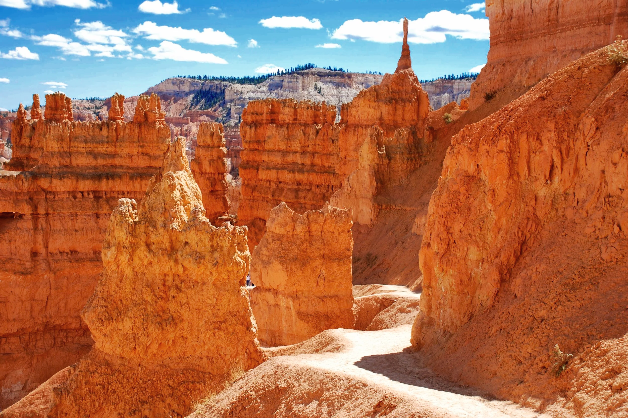 BRYCE CANYON