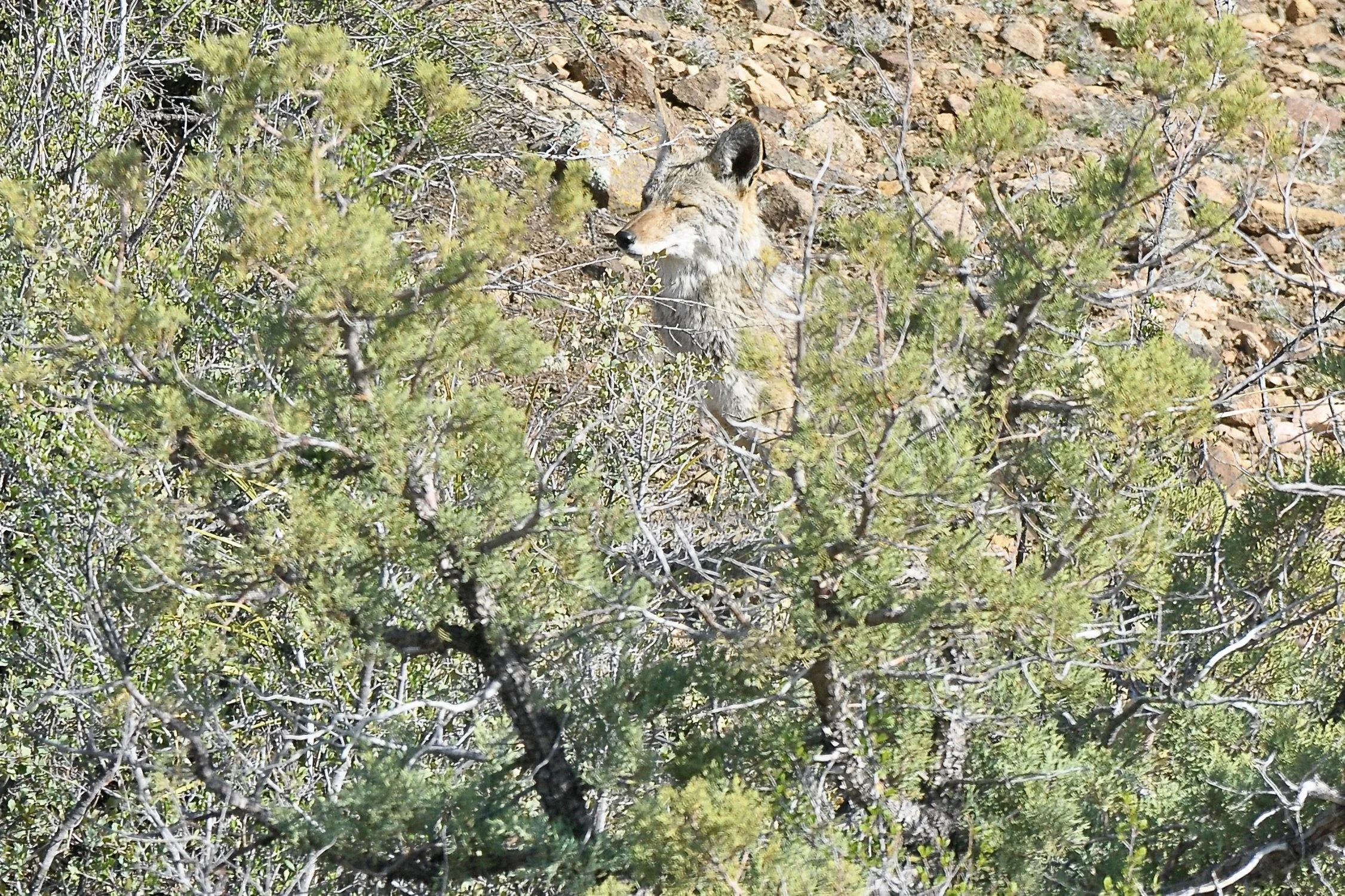 Screen Shot 2023-11-08 at 11.40.00 AM.jpeg