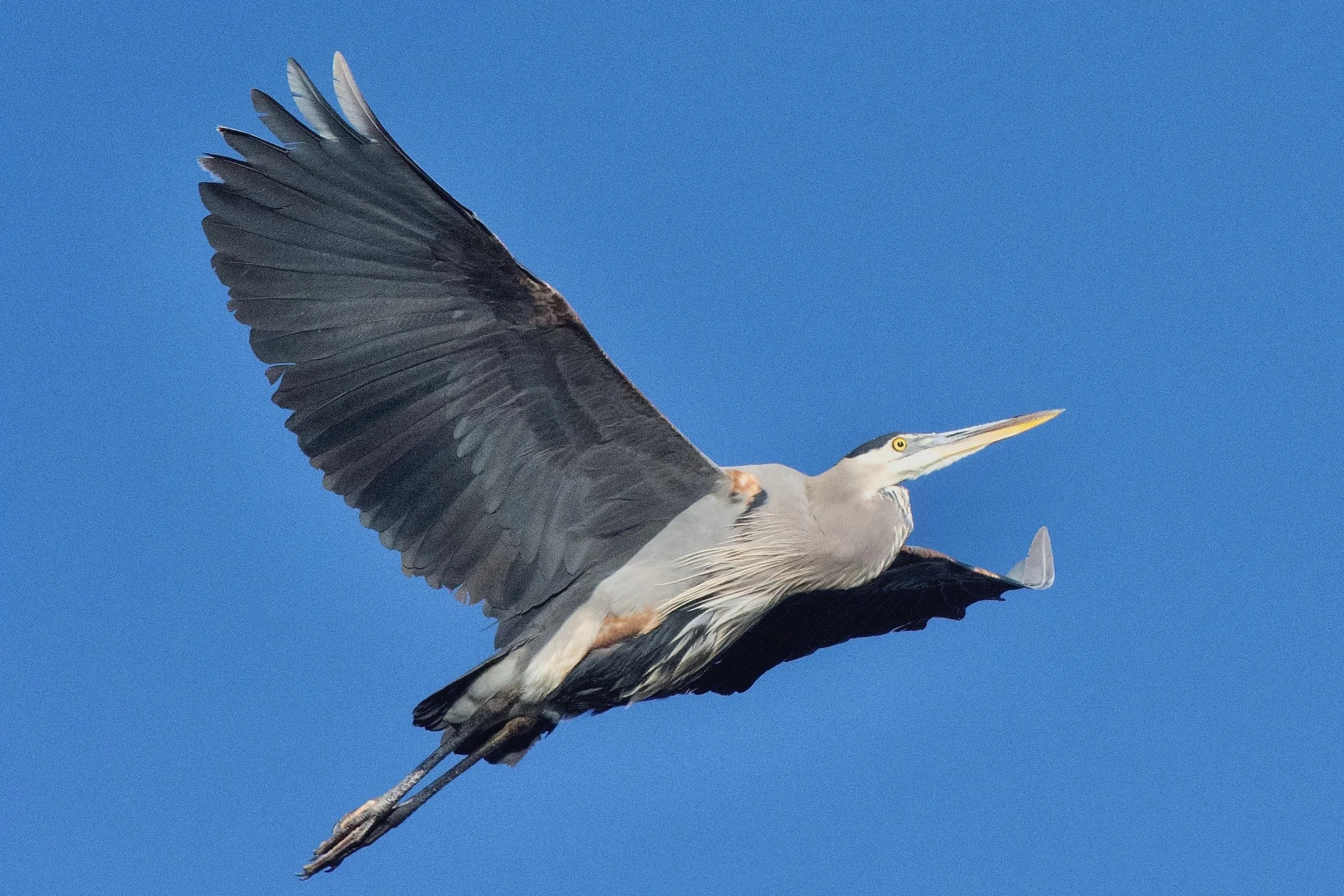 LIFT-OFF