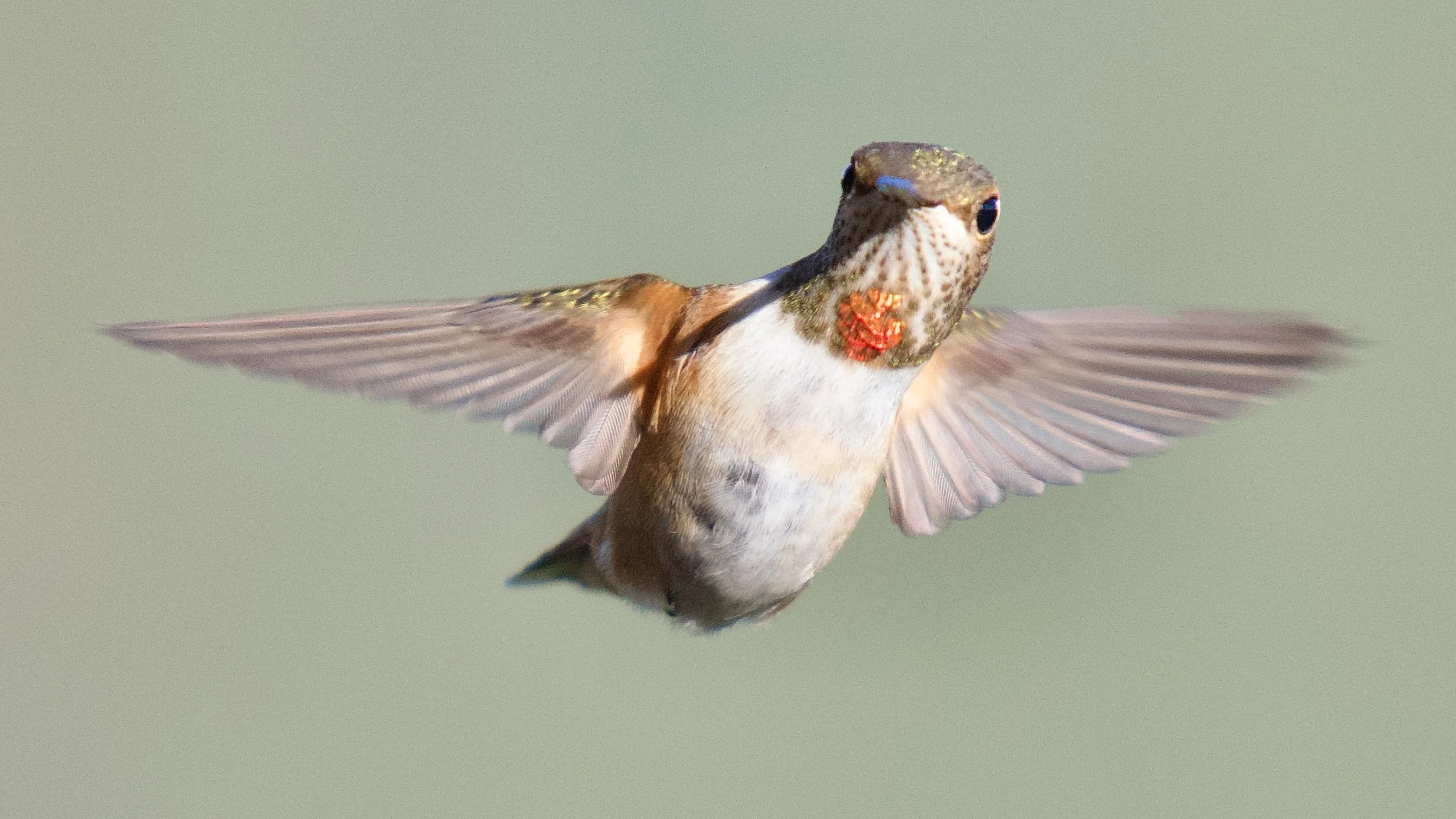 _DSC2381.jpeg