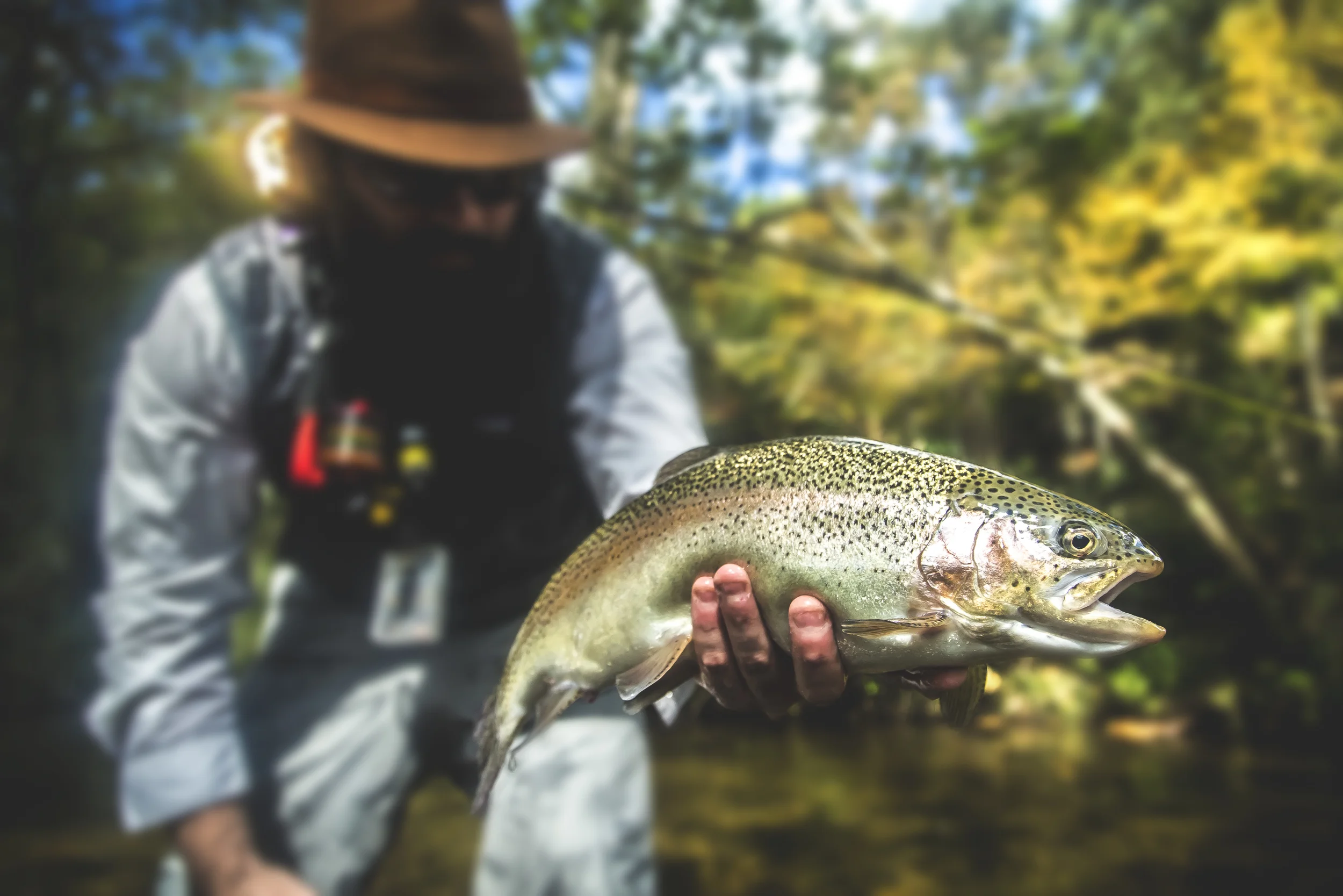 _MG_2336.jpg