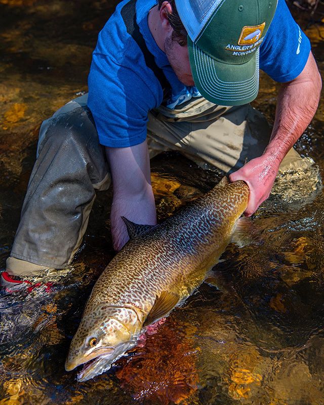 Throwback to a great day with the @saltwater_experience crew. @hayden_rowland_ @tom_rowland @jasonstemplephoto @bobgoblinrock @waypointtv.fishing @waypointtv #flyfishing #flyshopco #tigertrout #georgia #troutcapital #craftedforchaos