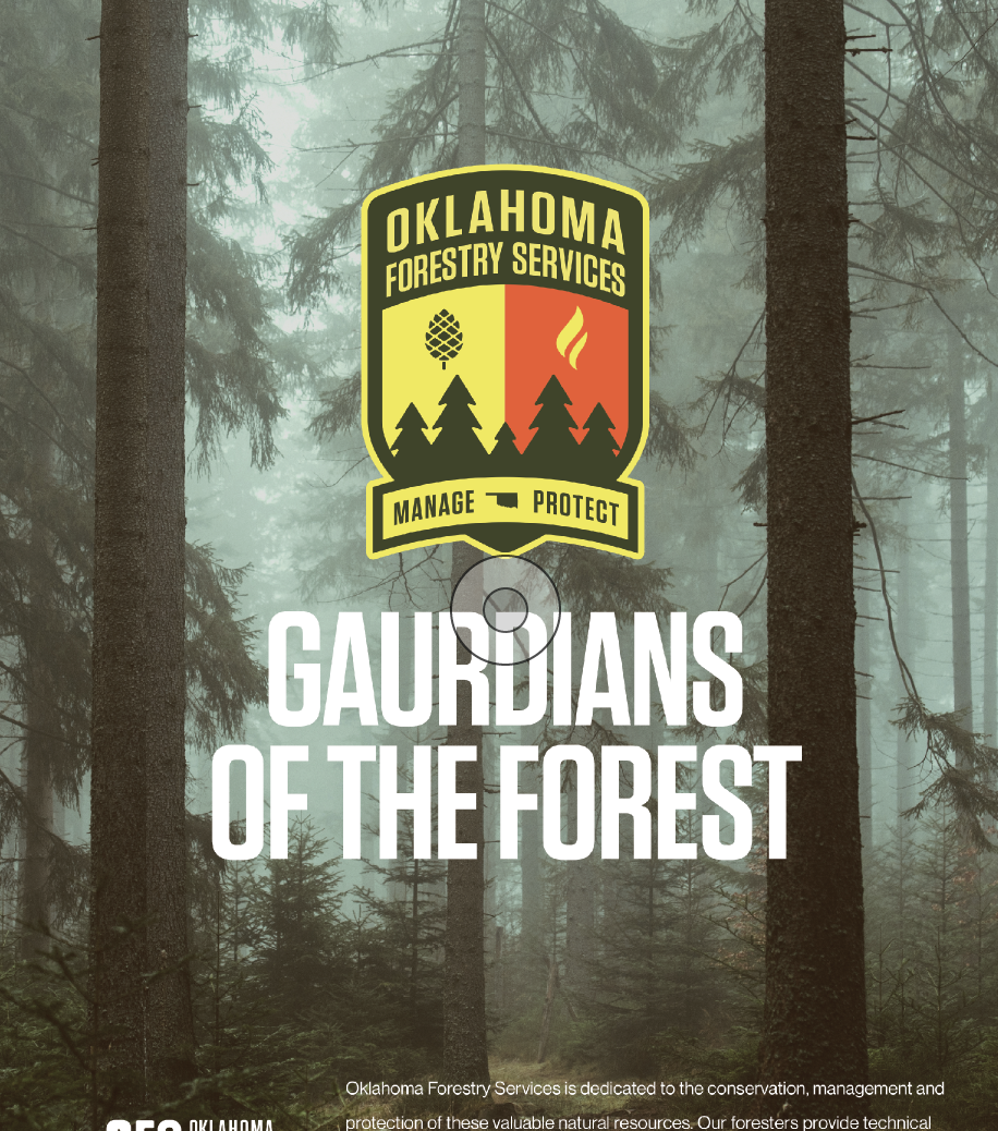 A poster for Oklahoma Forestry Services with a forest background. The poster features a shield emblem with trees, a pine cone, and a fire symbol, and the words 'Manage,' 'Protect,' and 'Guardians of the Forest.'