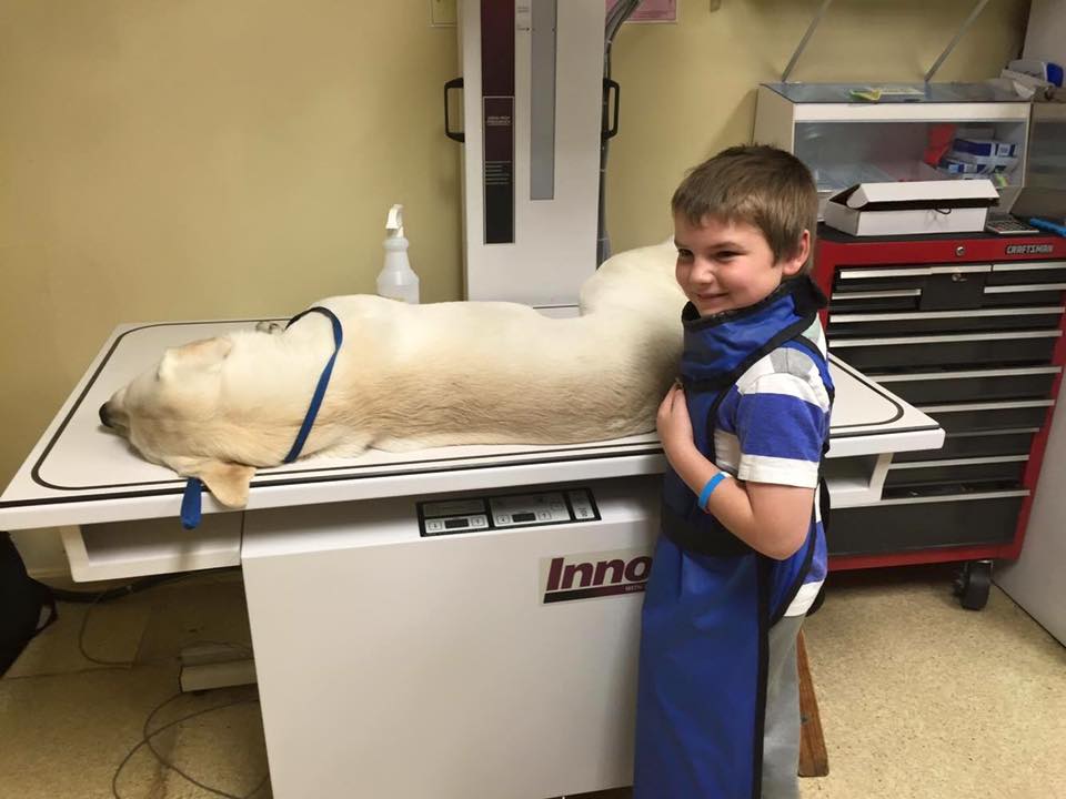 National Take Your Children To Work Day Jefferson Veterinary Hospital