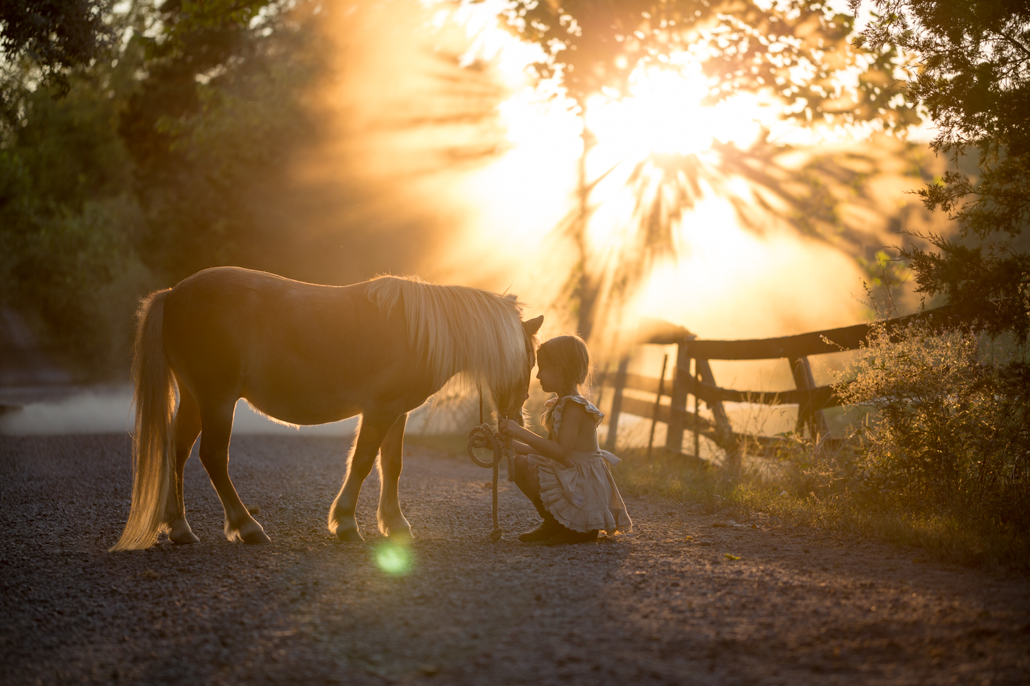 veterinarian_frederick_MD_veterinarian_middletown_MD_veterinarian_boonsboro_MD_veterinarian_brunswick_MD_veterinarian_lovettsville_VA_best_veterinarian_frederick_MD_best_veterinary_hospital_frederick_county_MD-14.jpg