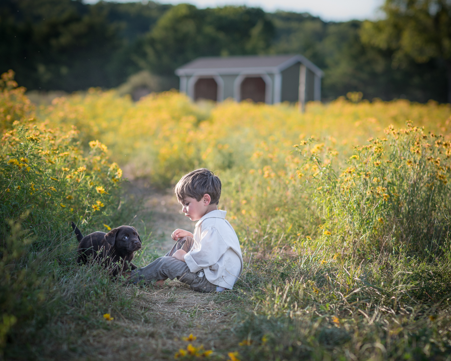 veterinarian_frederick_MD_veterinarian_middletown_MD_veterinarian_boonsboro_MD_veterinarian_brunswick_MD_veterinarian_lovettsville_VA_best_veterinarian_frederick_MD_best_veterinary_hospital_frederick_county_MD-9.jpg