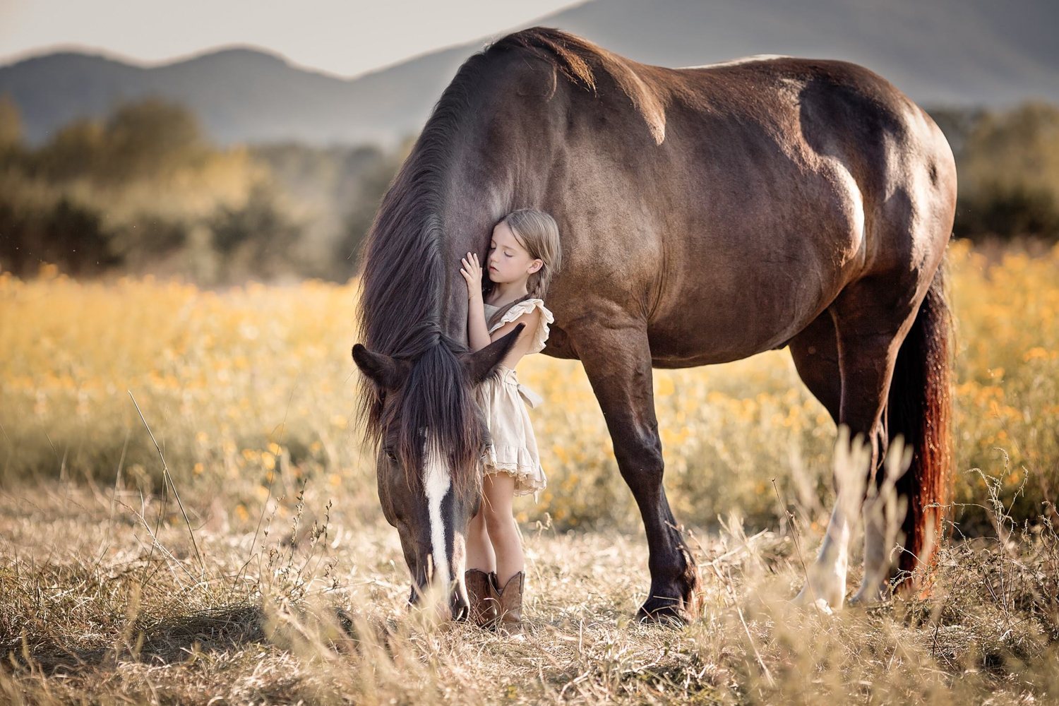 veterinarian_frederick_MD_veterinarian_middletown_MD_veterinarian_boonsboro_MD_veterinarian_brunswick_MD_veterinarian_lovettsville_VA_best_veterinarian_frederick_MD_best_veterinary_hospital_frederick_county_MD-29.jpg