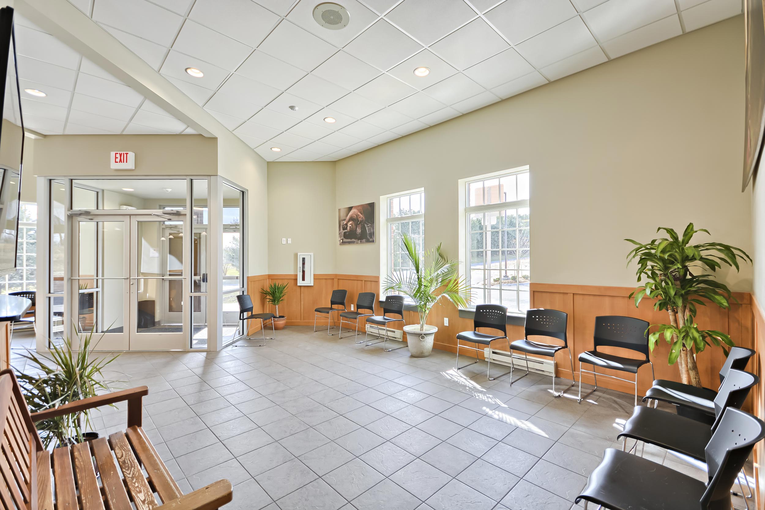 interior_photograph_veterinarian_frederick_MD_--19.jpg