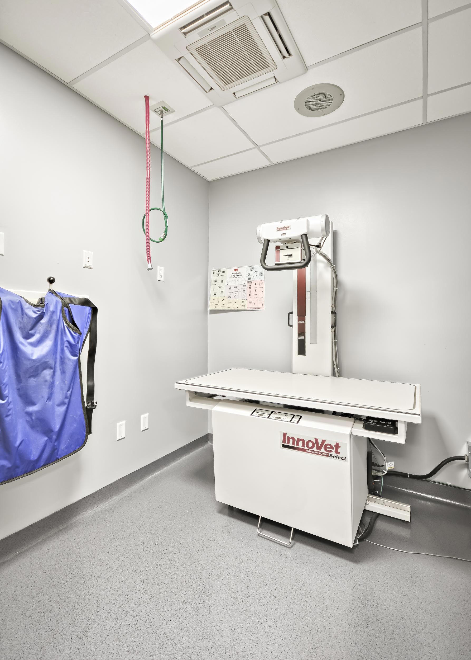 interior_photograph_veterinarian_frederick_MD_--9.jpg