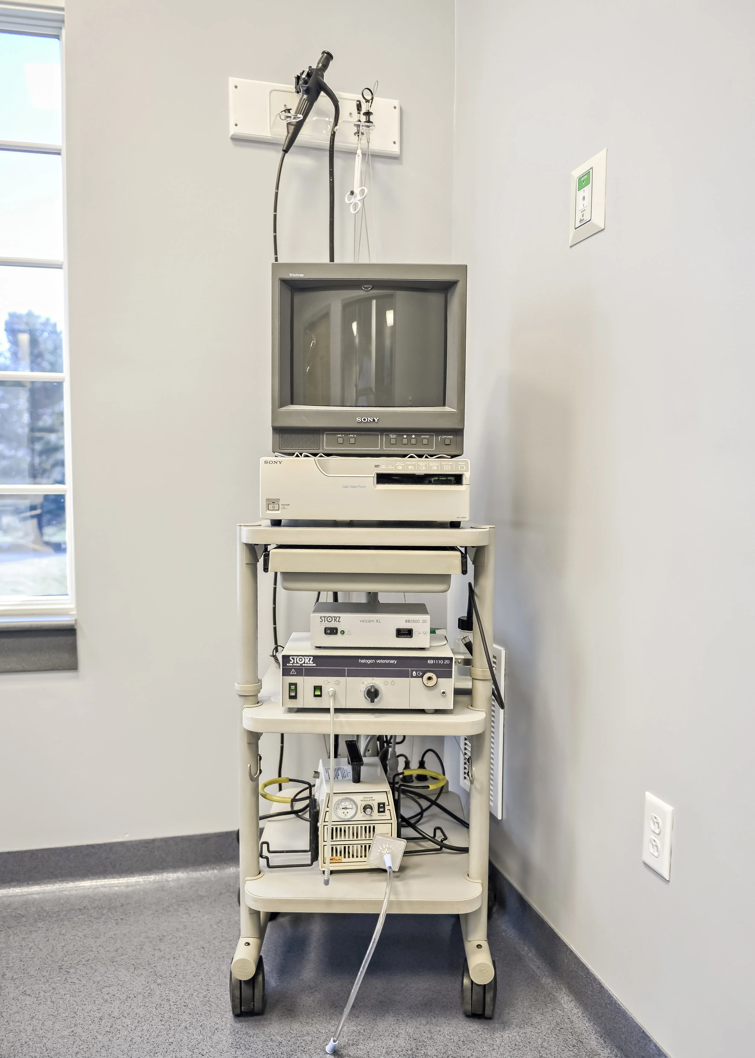 Endoscopy Veterinarian Urbana MD — Jefferson Veterinary Hospital