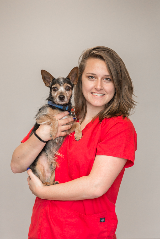 Veterinary Assistants | Frederick MD Veterinarian — Jefferson Veterinary  Hospital
