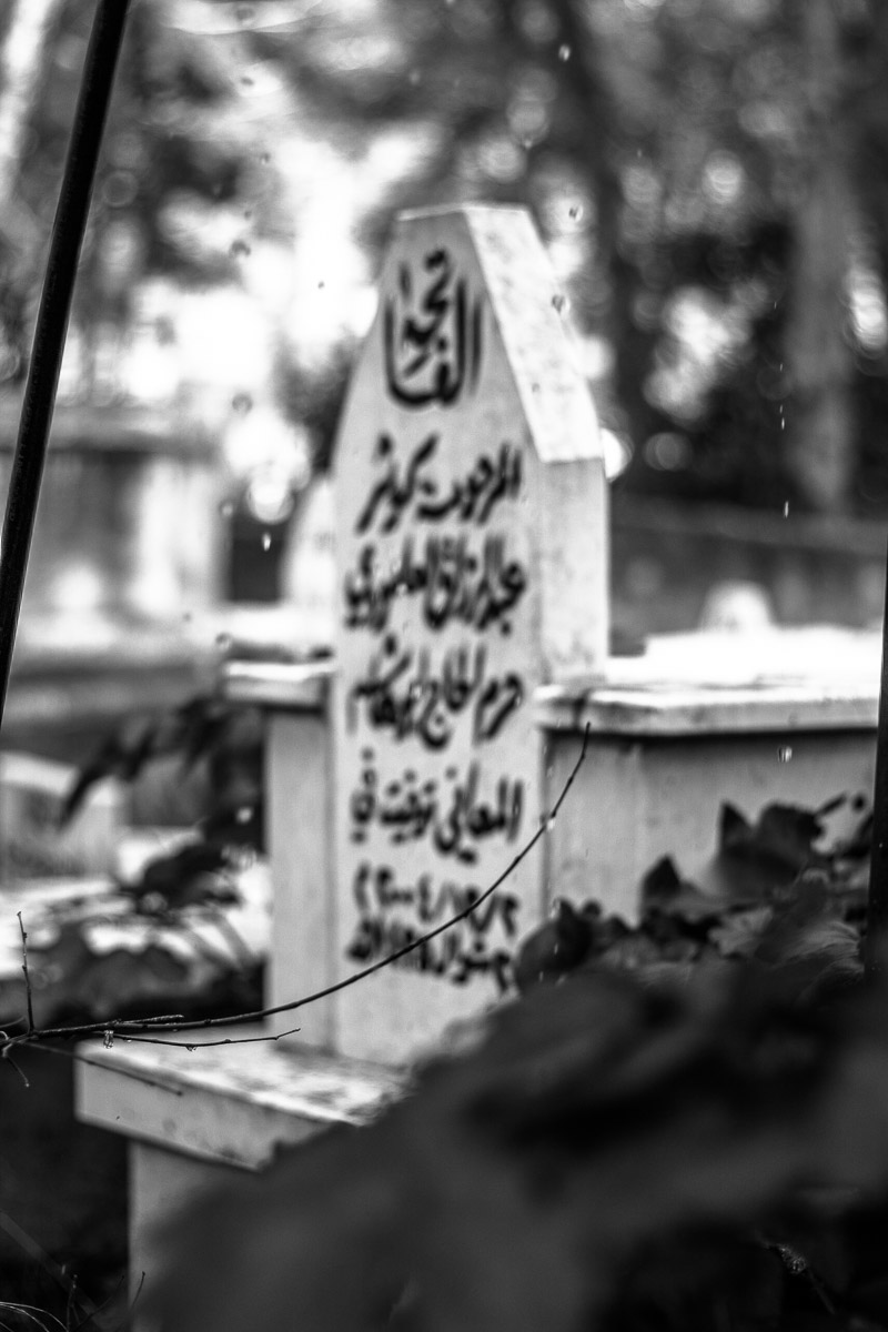 “I buried 4 friends before the age of 14. This year alone, I have already lost two: one to suicide, the other to the occupation. In Palestine it is not death we fear but living.”