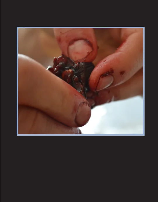 Blood back cover.jpg