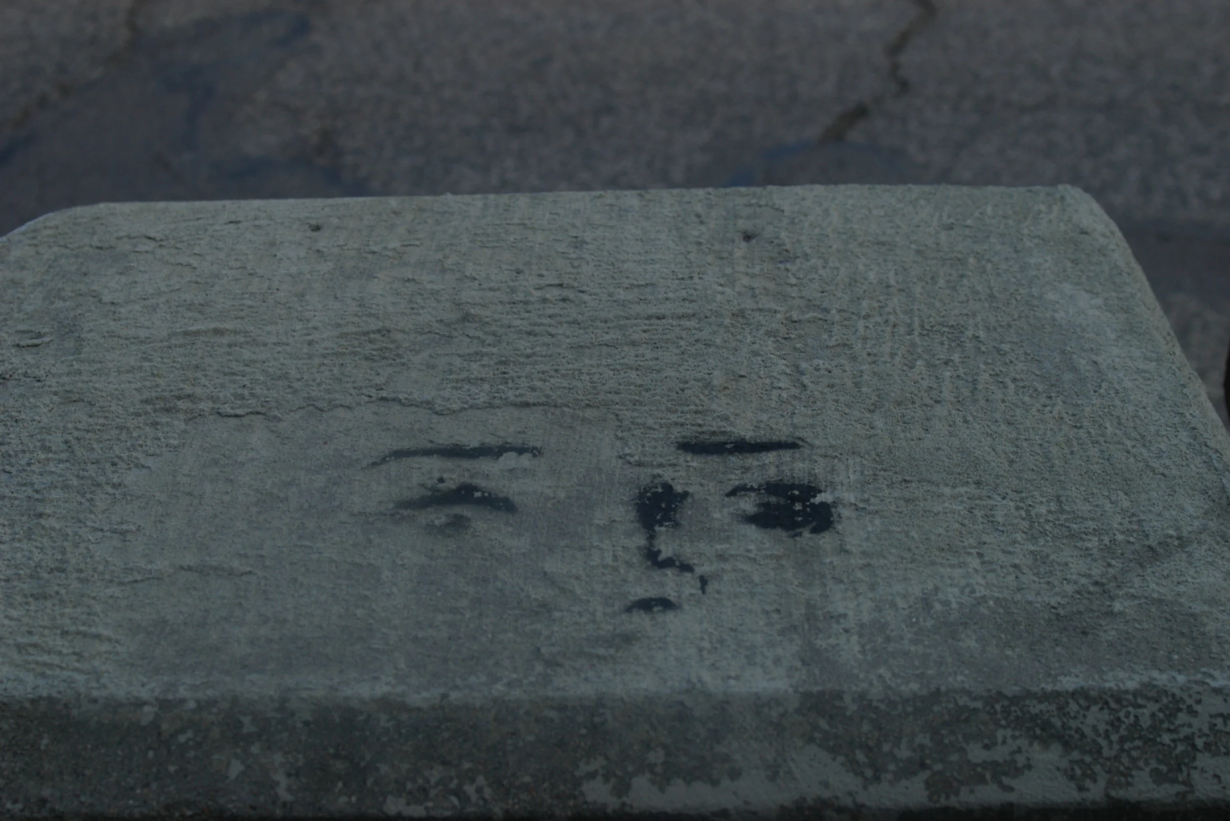 IMGP3942.jpg
