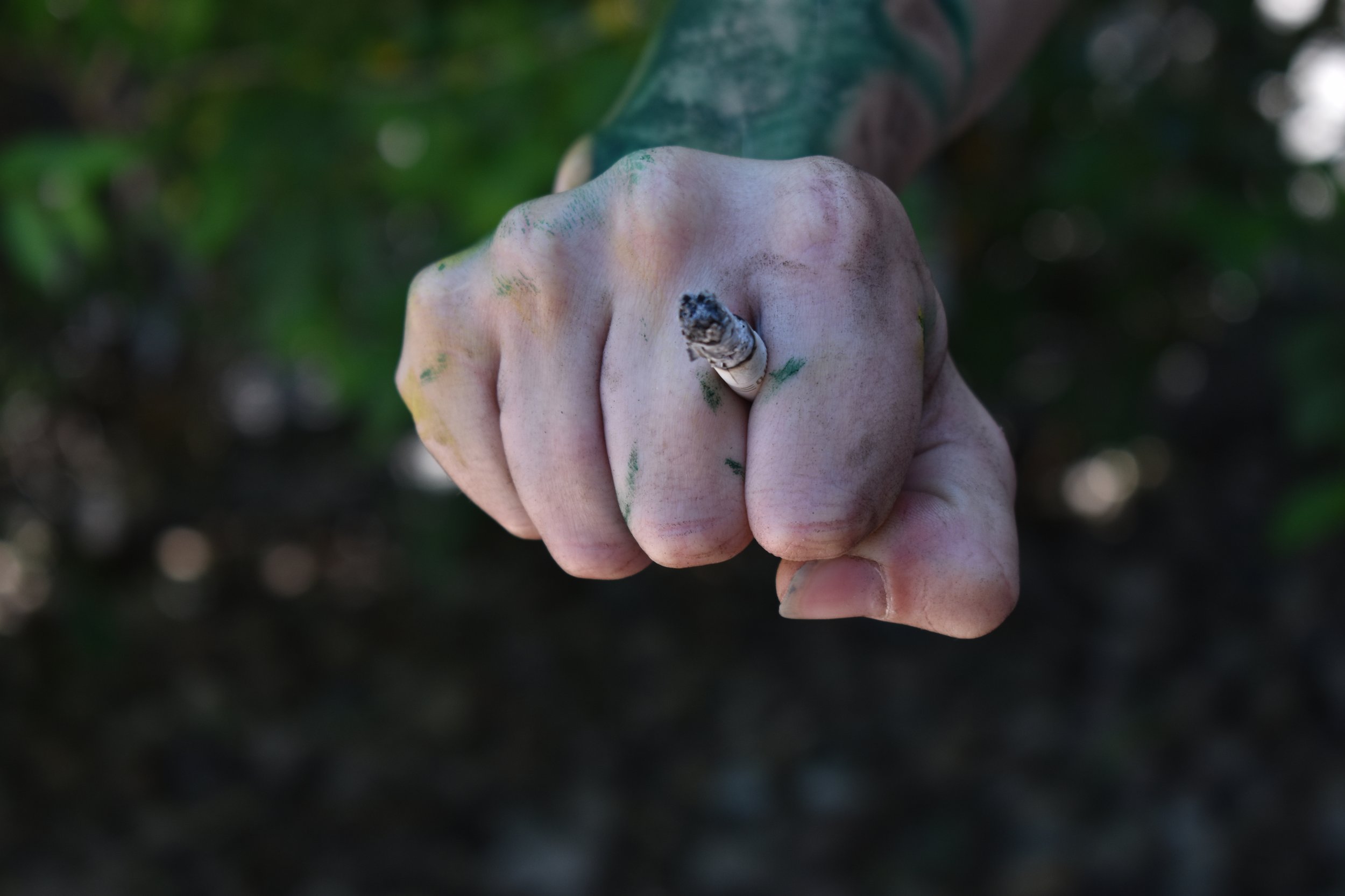 DSC_1221.JPG