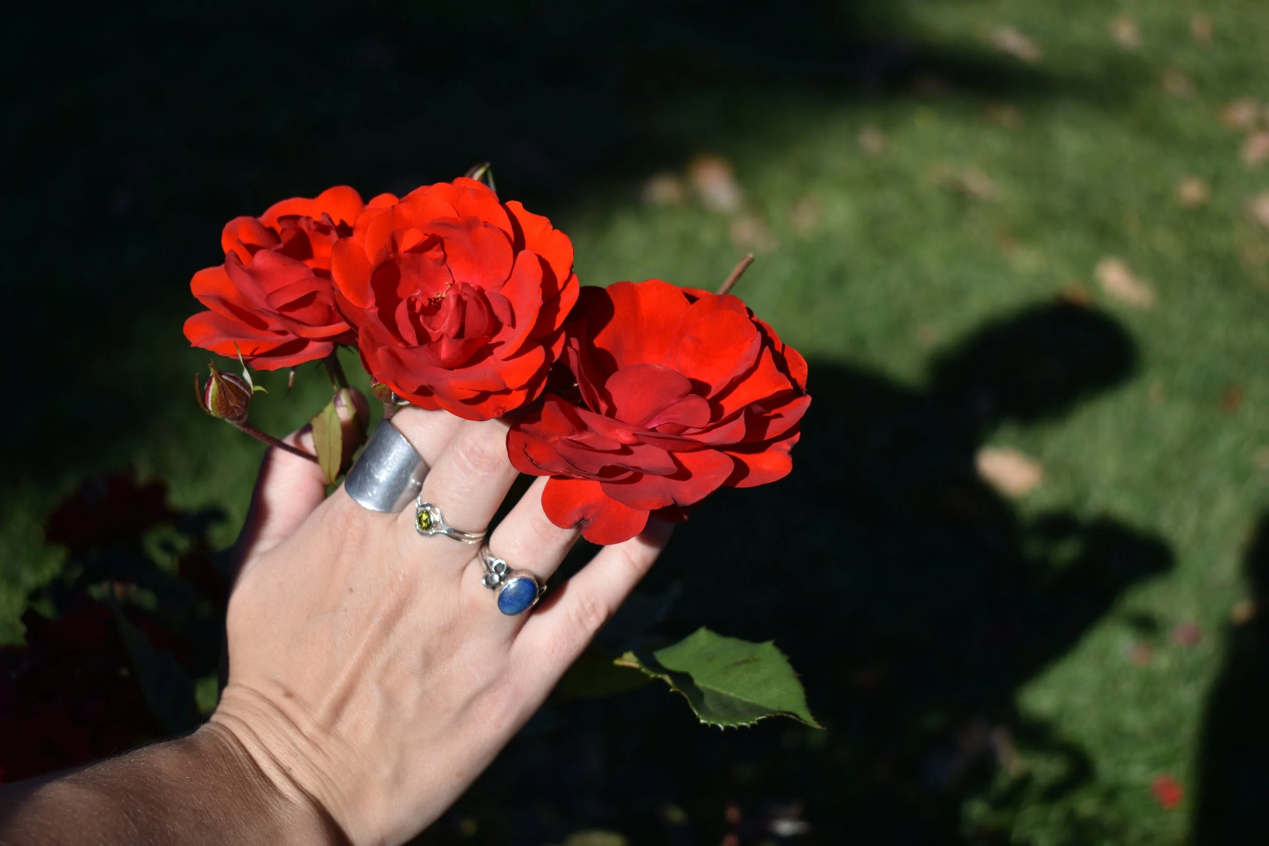 DSC_0448.JPG