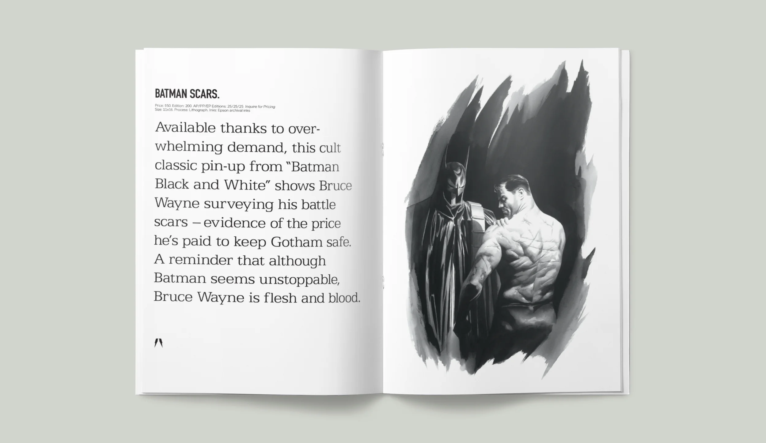 DC Comics. Batman Scars.
