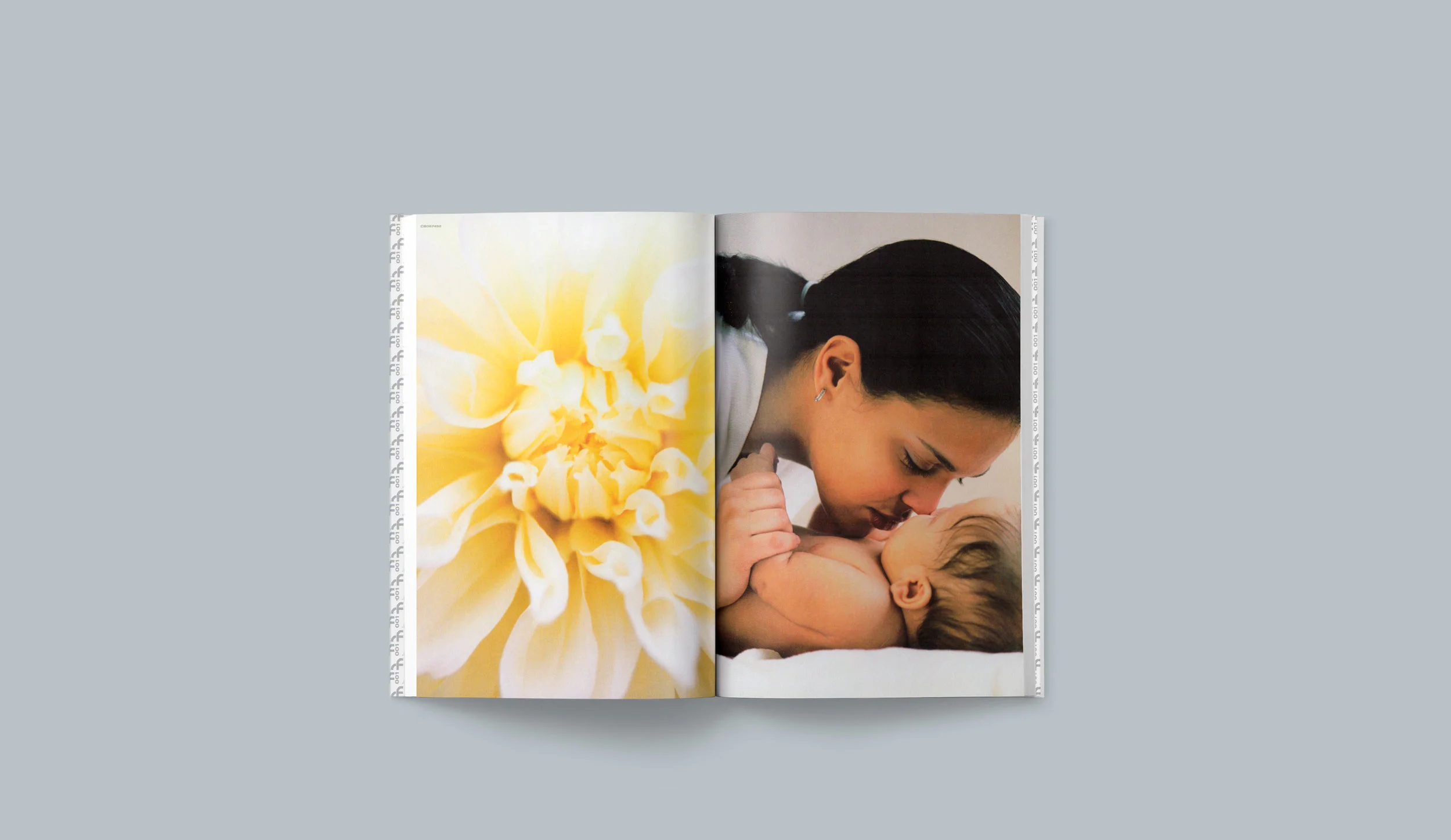 3D_corbis_rf1_100-101_3000w.jpg
