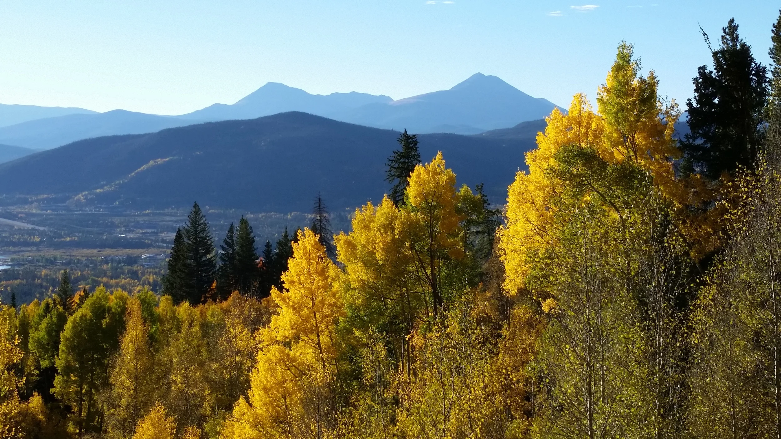 Artemis Massage Therapy