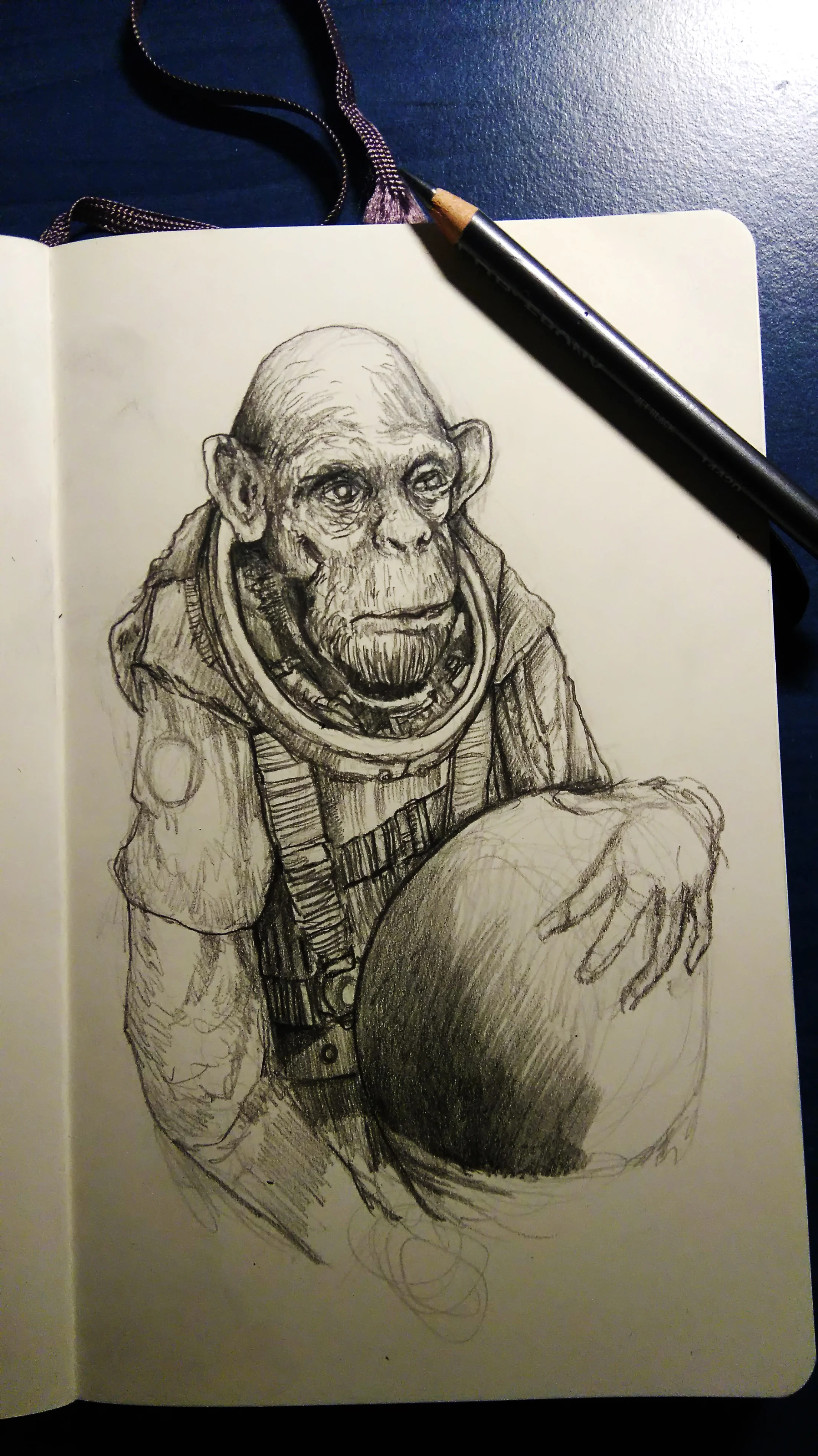 Space ape