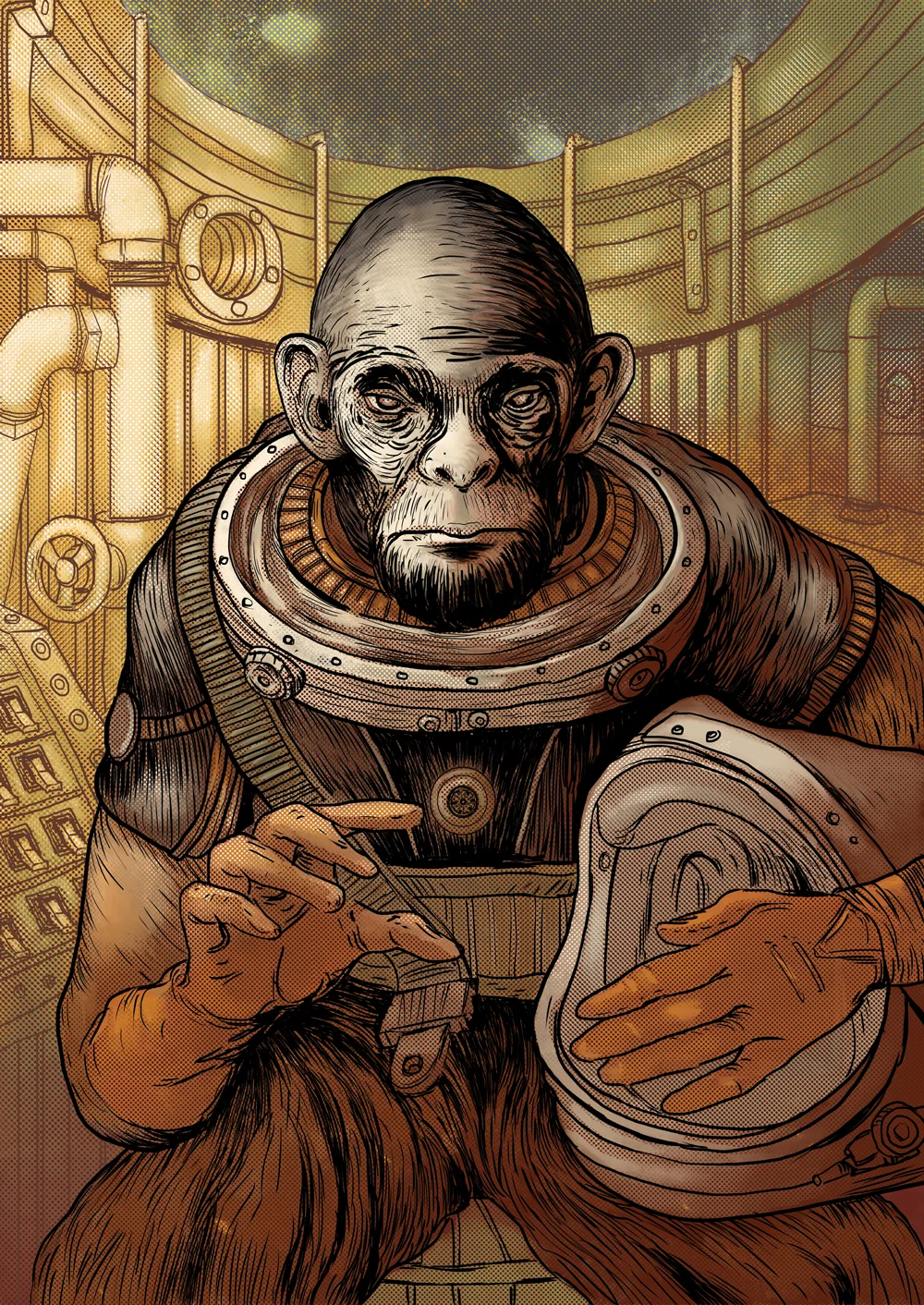 Final illustration