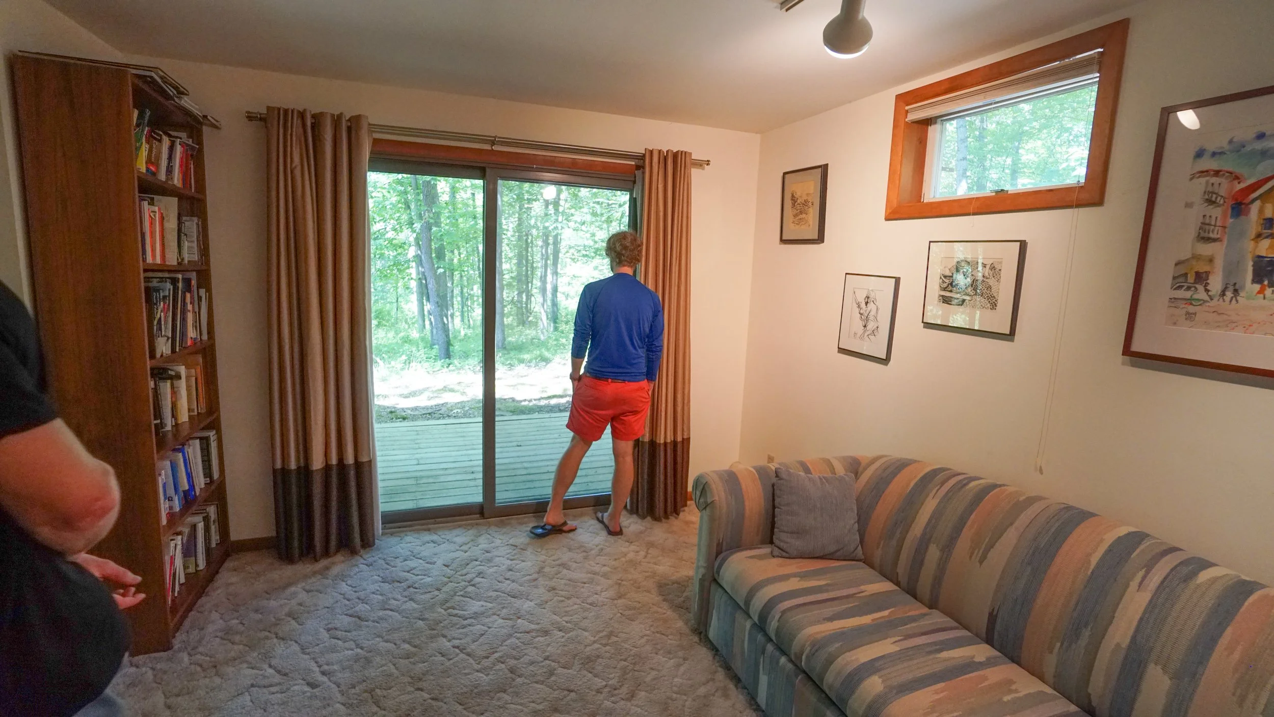 Basement Guest Bedroom