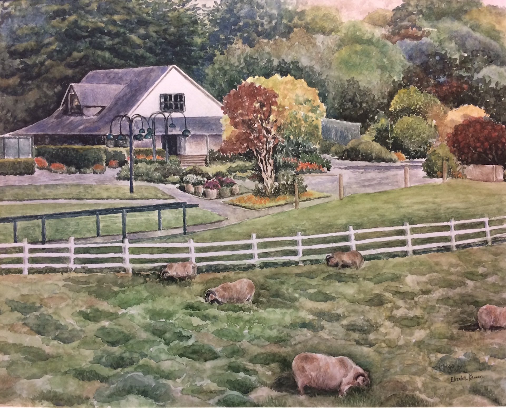 KennenElizabeth_MissionRanchCarmel_watercolor.jpg