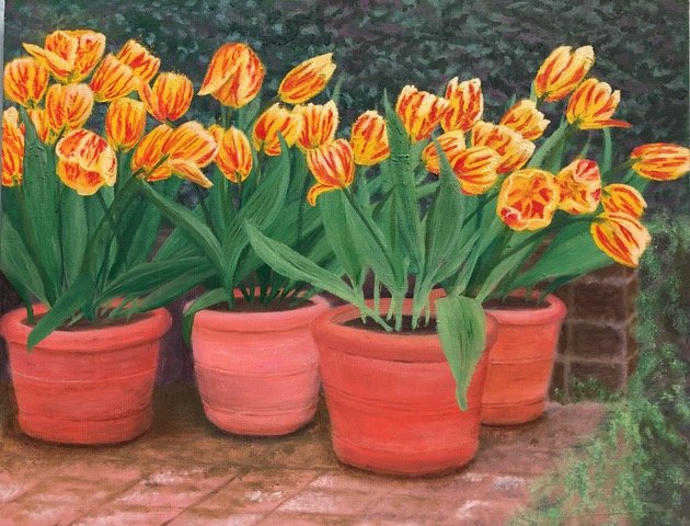 Greg's Tulips