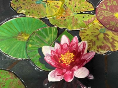 Water Lily