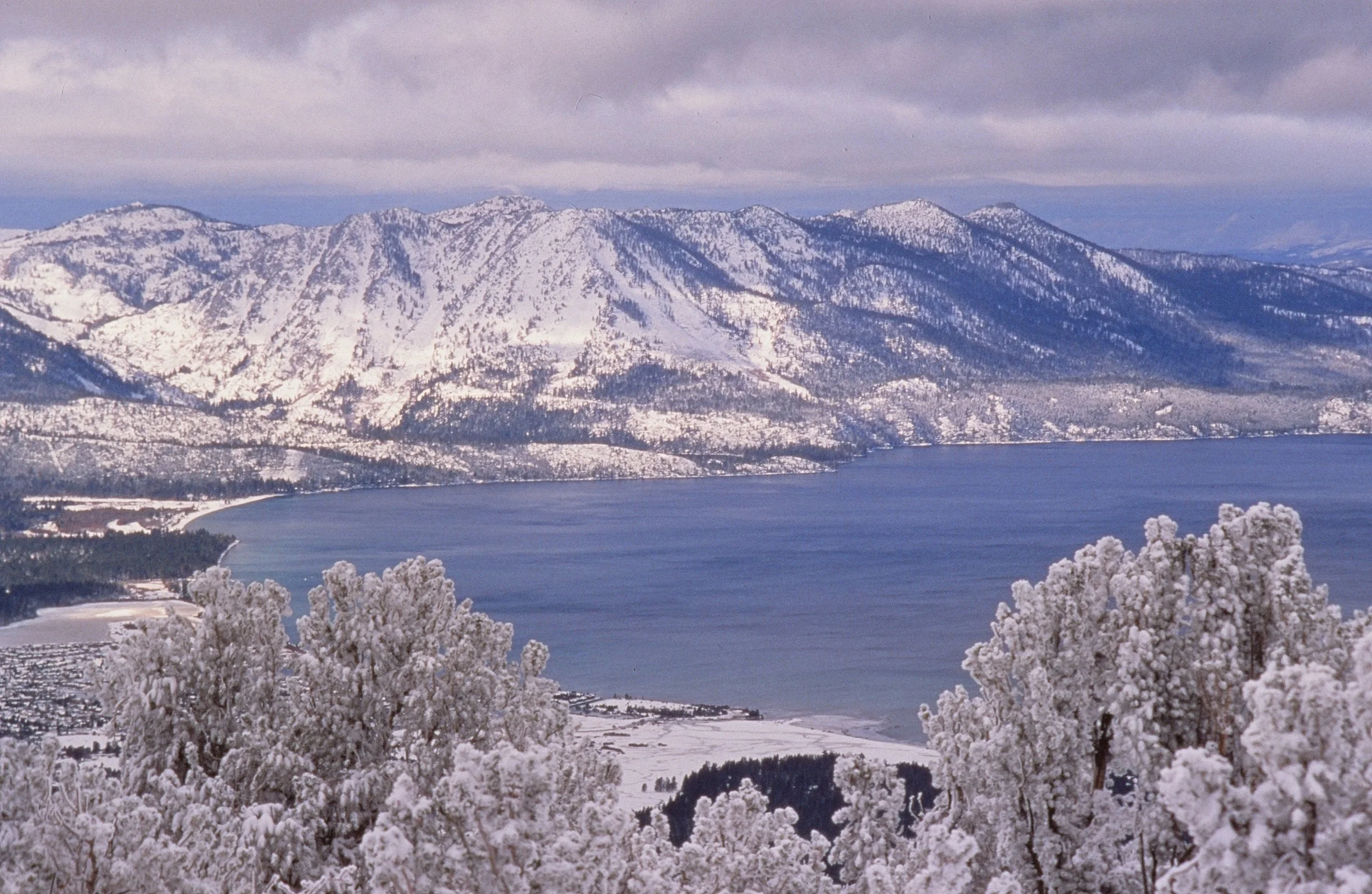 Blue & White Landscape.jpg
