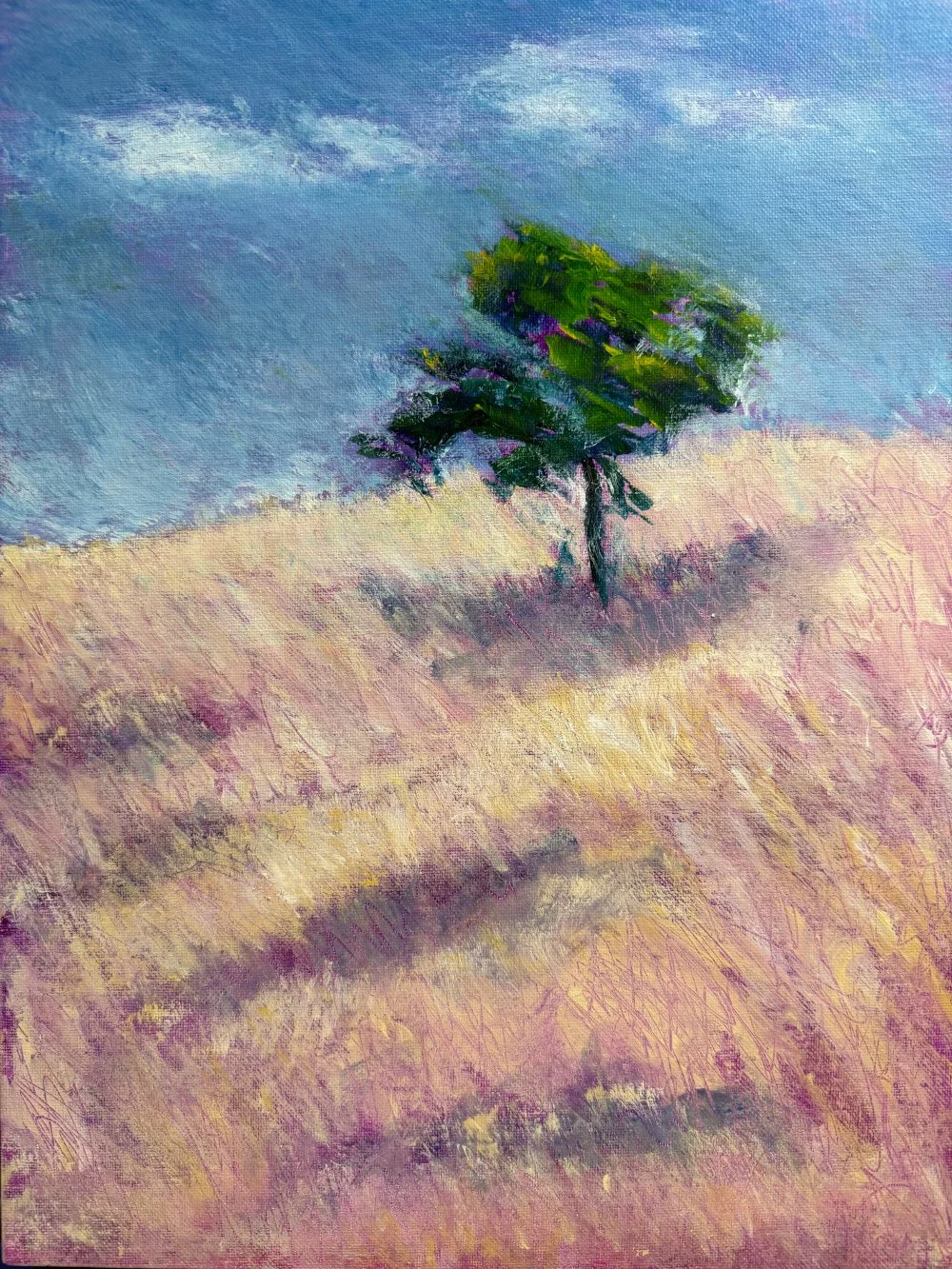 Briones Lone Tree