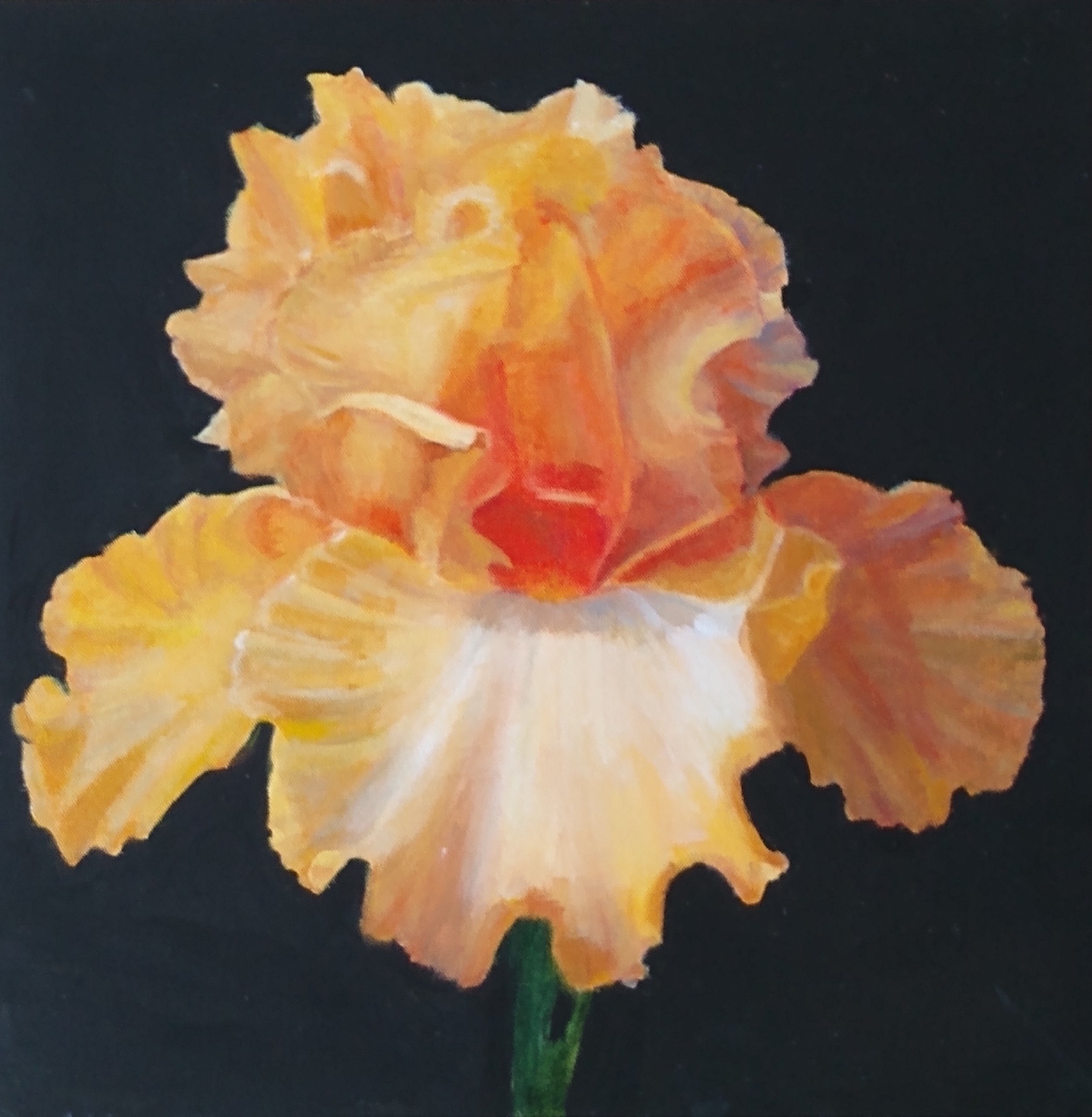 Lilly's yellow.jpg