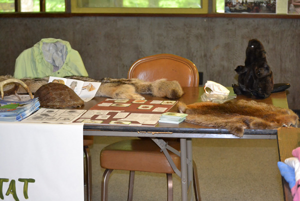 4.jpg (Copy)