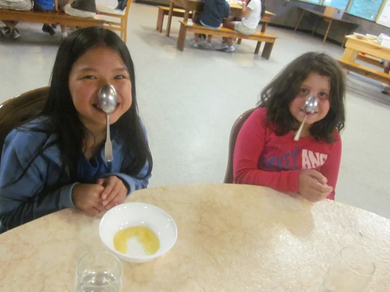 img_1108.jpg (Copy)