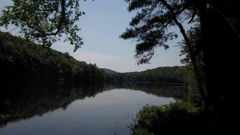 lake2.jpg (Copy)