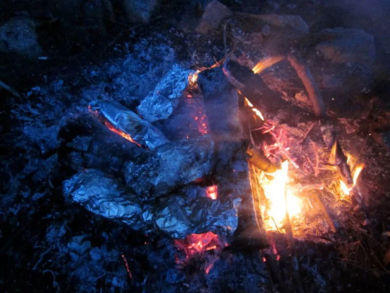 foildinner.jpg (Copy)