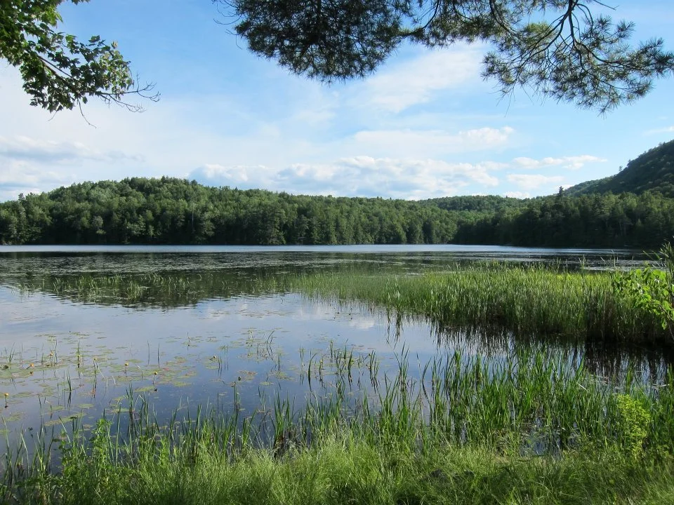 lake2.jpg (Copy)