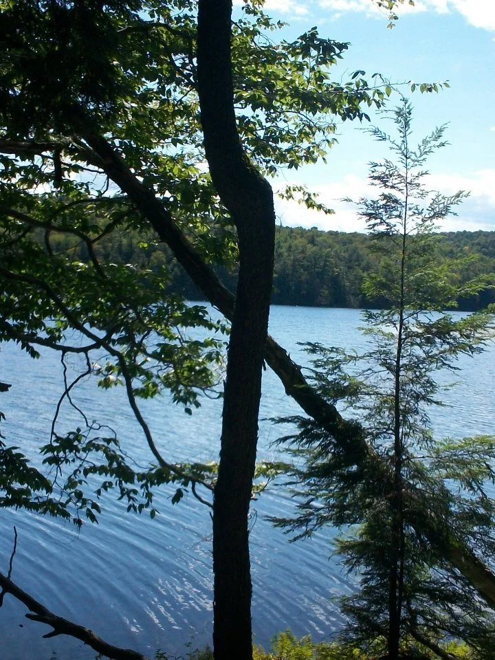 cln4.jpg (Copy)