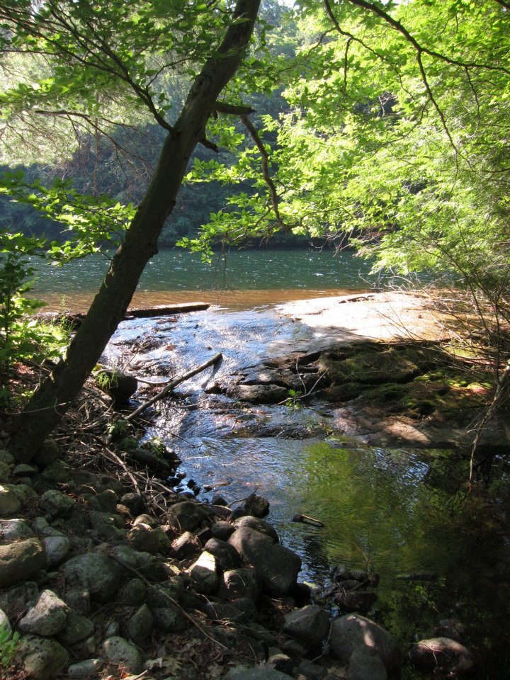 behind turtle point.jpg (Copy)