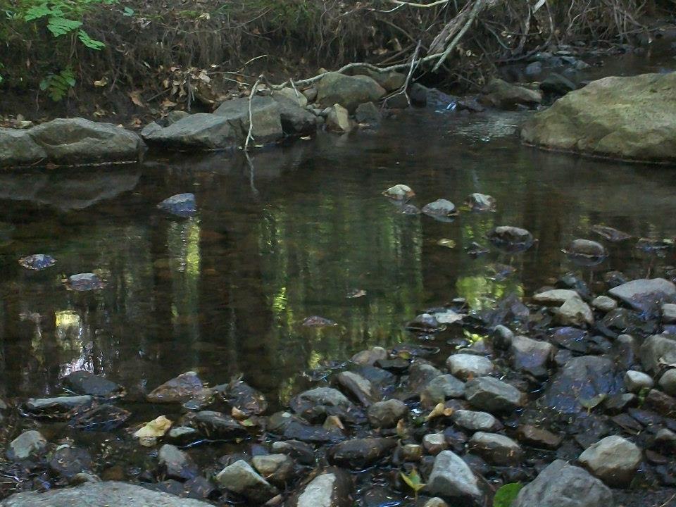 cln1.jpg (Copy)