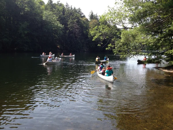 cln 2013 2.jpg (Copy)
