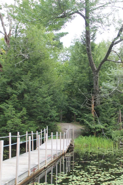 2013-07-25 18.23.24.jpg