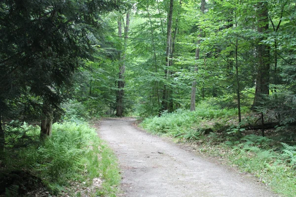 2013-07-25 18.17.33.jpg