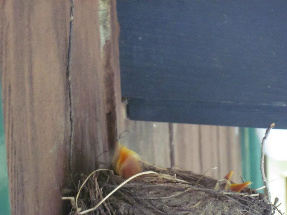 openhouse__62.jpg (Copy)