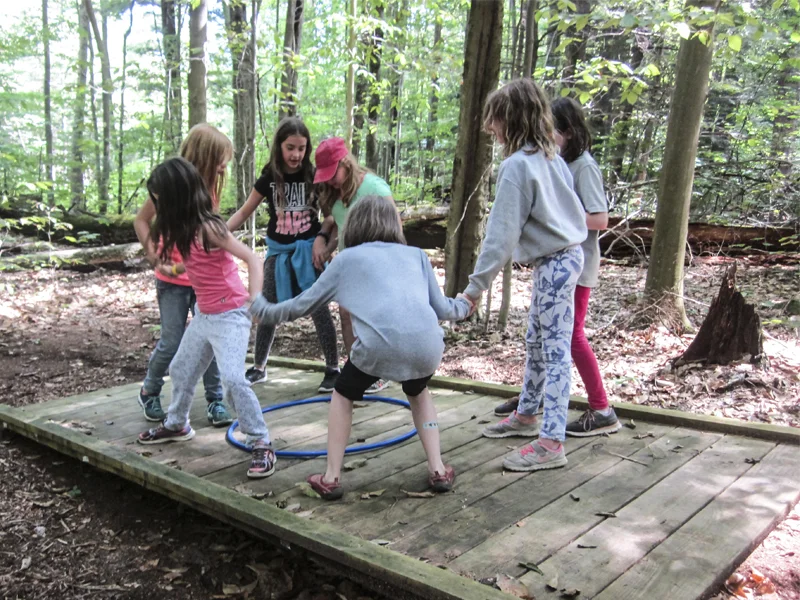 wobble board-crop.jpg