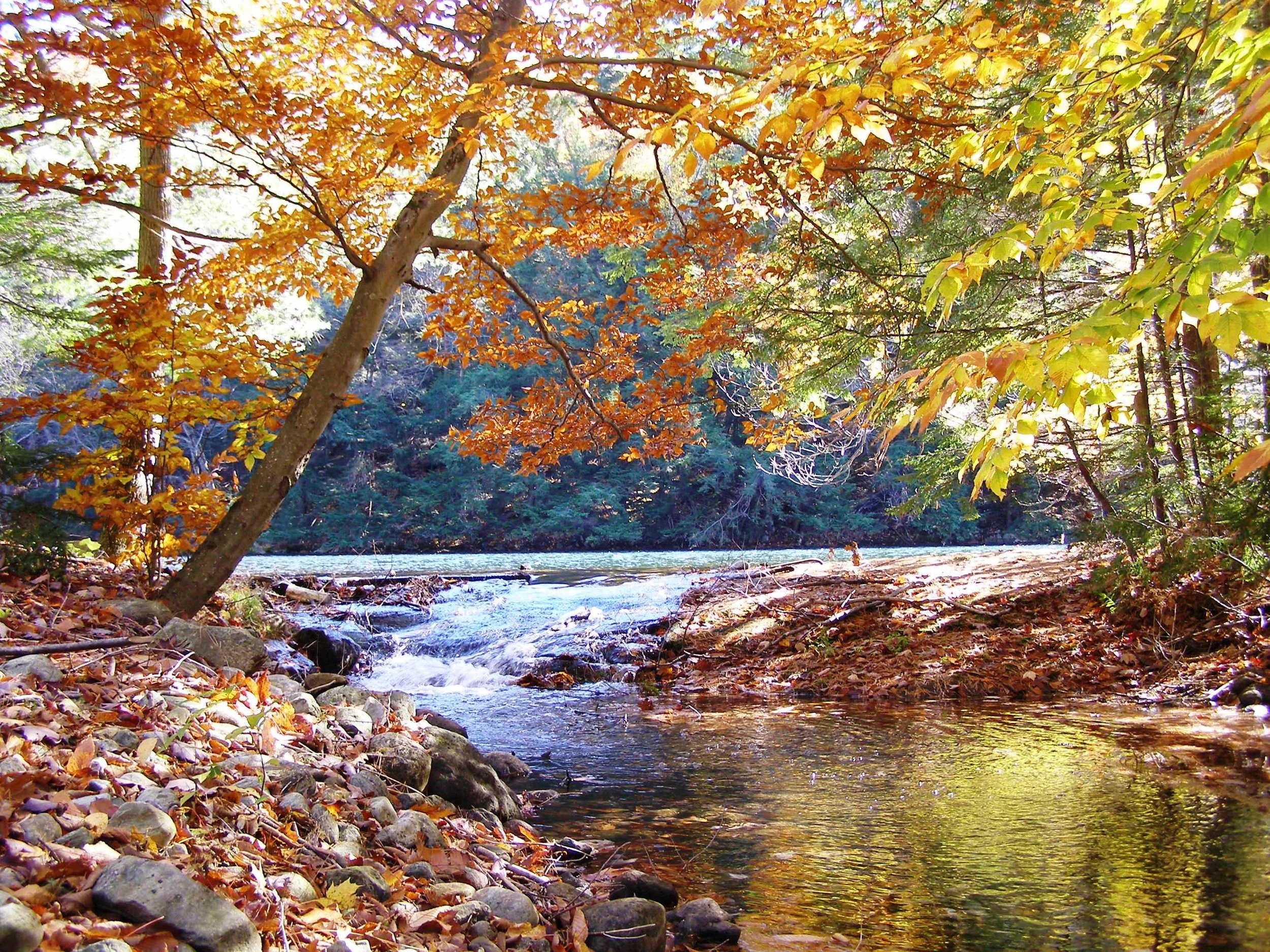 Waterfall by Boating Dock (Copy)